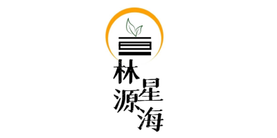 山西林源星海能源有限公司